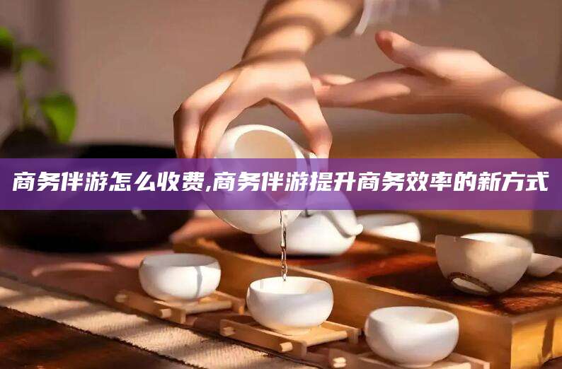 广元商务伴游怎么收费,商务伴游提升商务效率的新方式