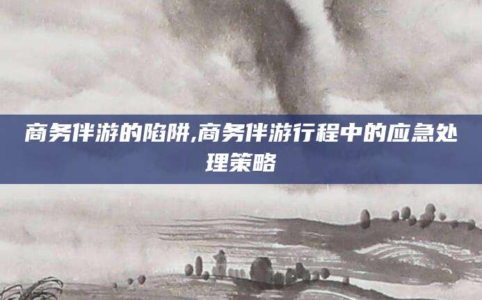 广元商务伴游的陷阱,商务伴游行程中的应急处理策略